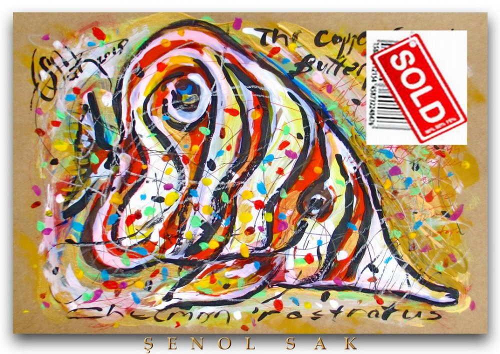 sold-24