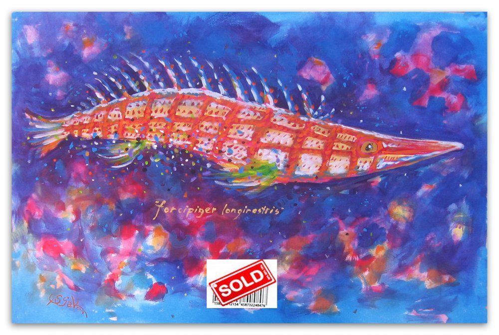 sold-30