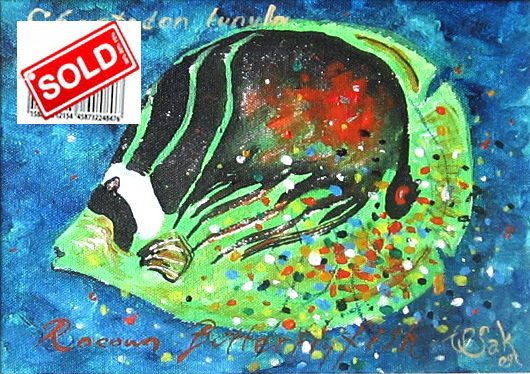 sold-40