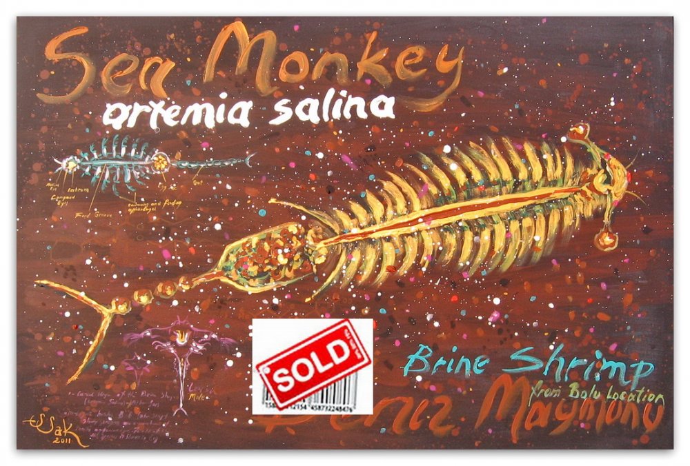 sold-42