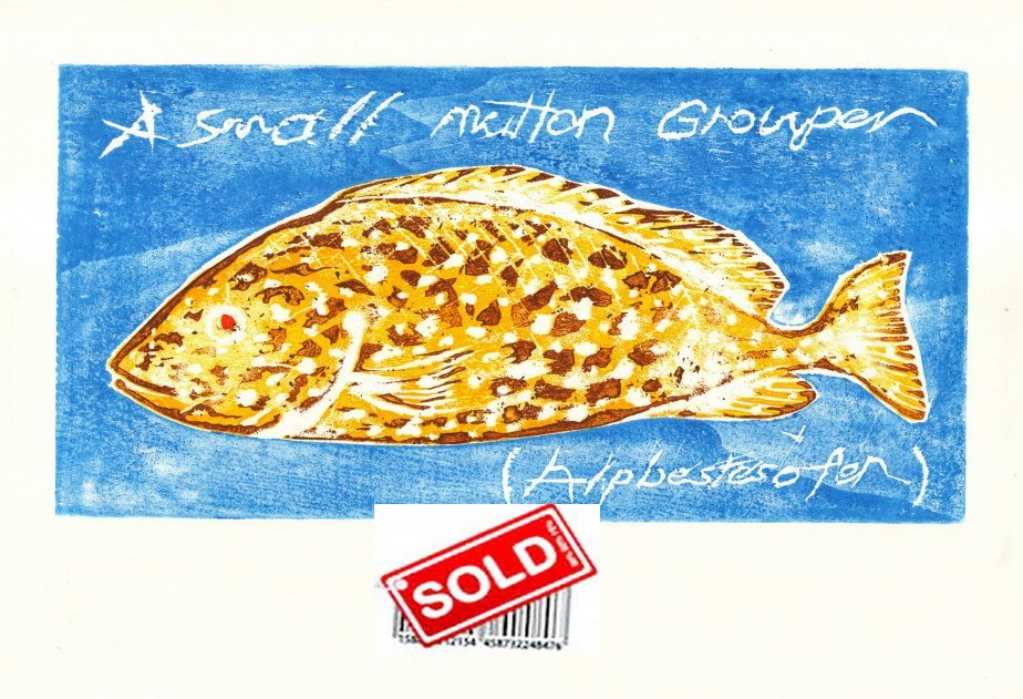 sold-46