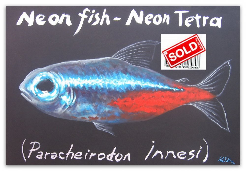 sold-61